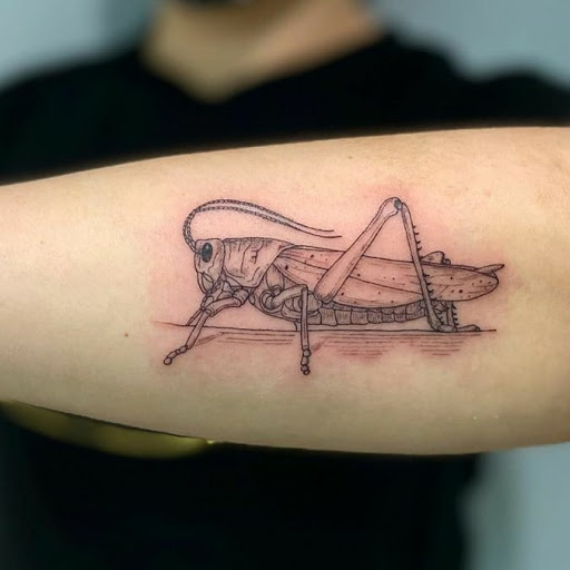 Explore colombia tattoo ideas, creative tattoo ideas in Schaumburg, available at Atmosphere Tattoo Gallery - Schaumburg