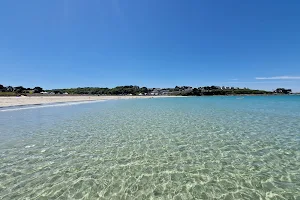 Beach Trestel image