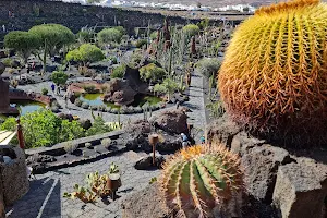 The Cactus Garden image