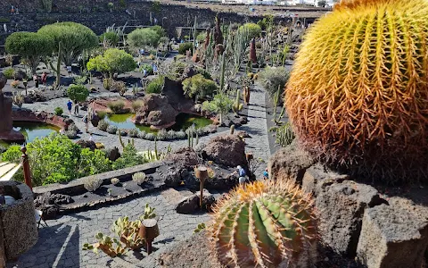 The Cactus Garden image