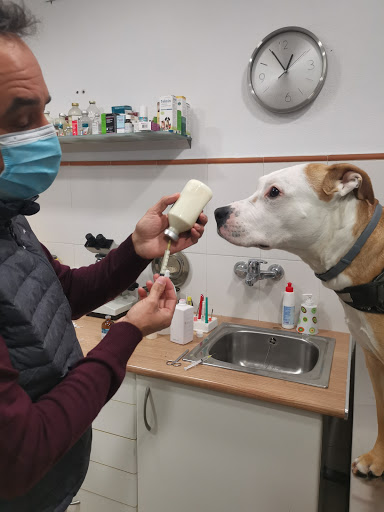 Clínica Veterinaria El Carretero en Algeciras