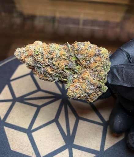 Pharmacy «Lucy Sky Dispensary», reviews and photos, 2215 E Mississippi Ave, Denver, CO 80210, USA