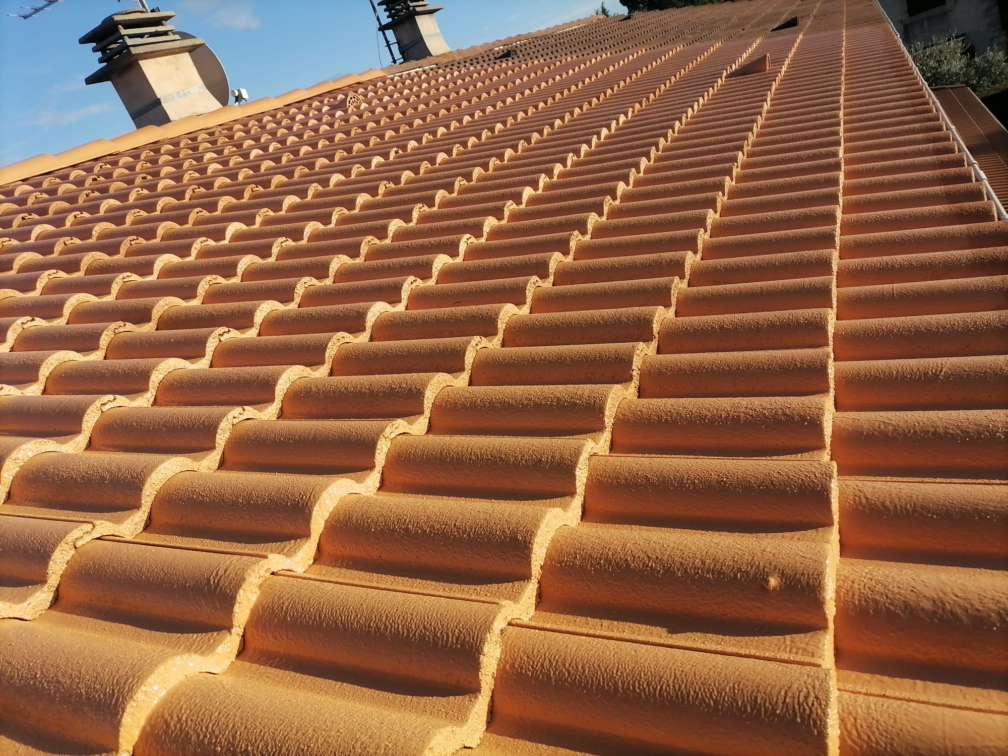 Photo n° 2 de l'avis de Ildegarde.r fait le 15/12/2023 à 17:39