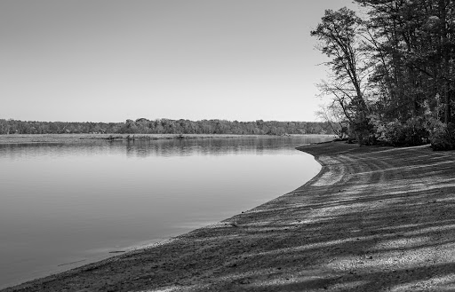 Nature Preserve «Maurice River Bluffs Preserve», reviews and photos, Silver Run Rd, Millville, NJ 08332, USA