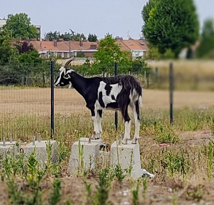 Photo n° 2 de l'avis de Xavier.o fait le 17/08/2022 à 07:58