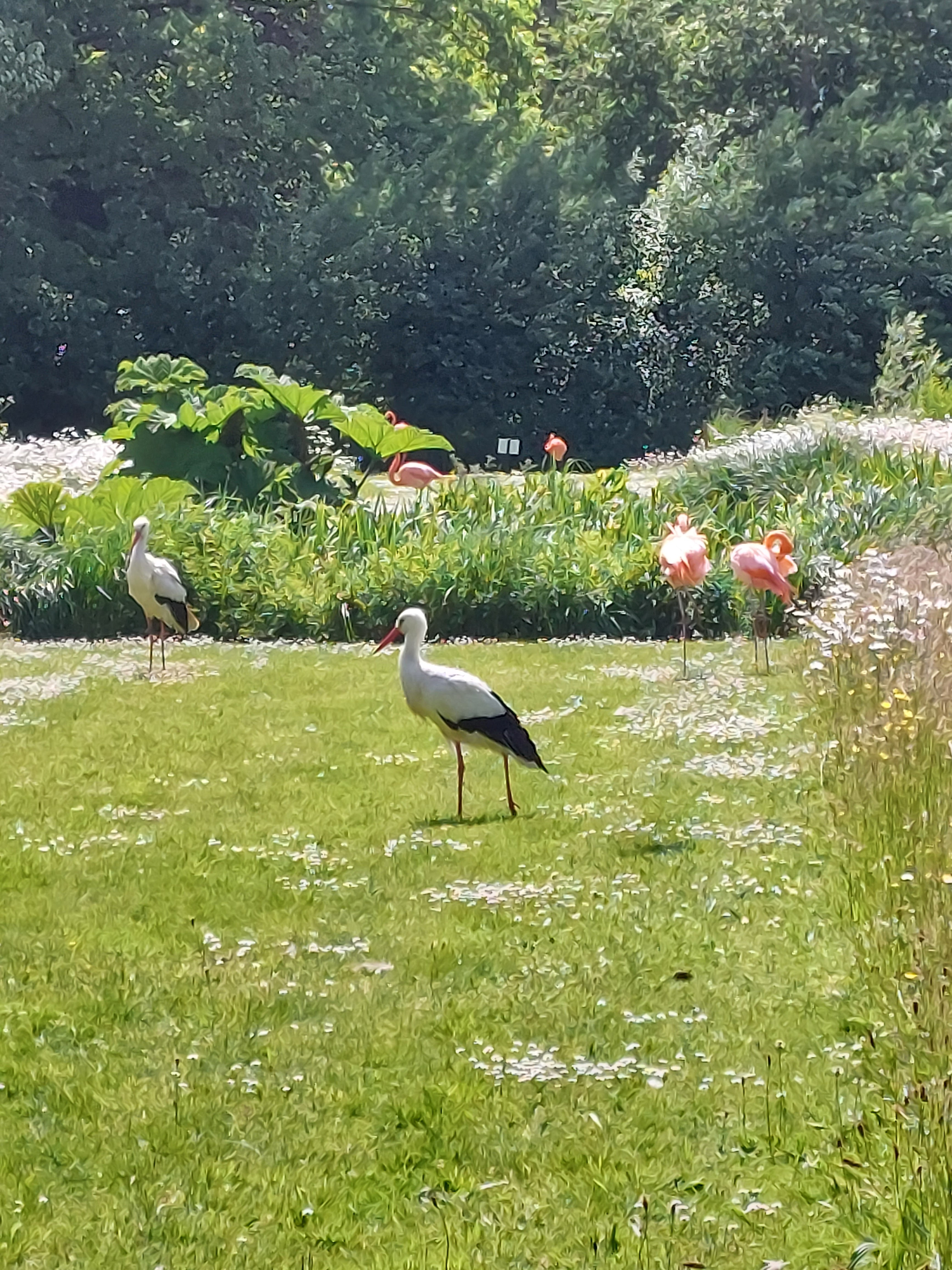 Photo n° 6 de l'avis de Anais. fait le 02/06/2023 à 17:52