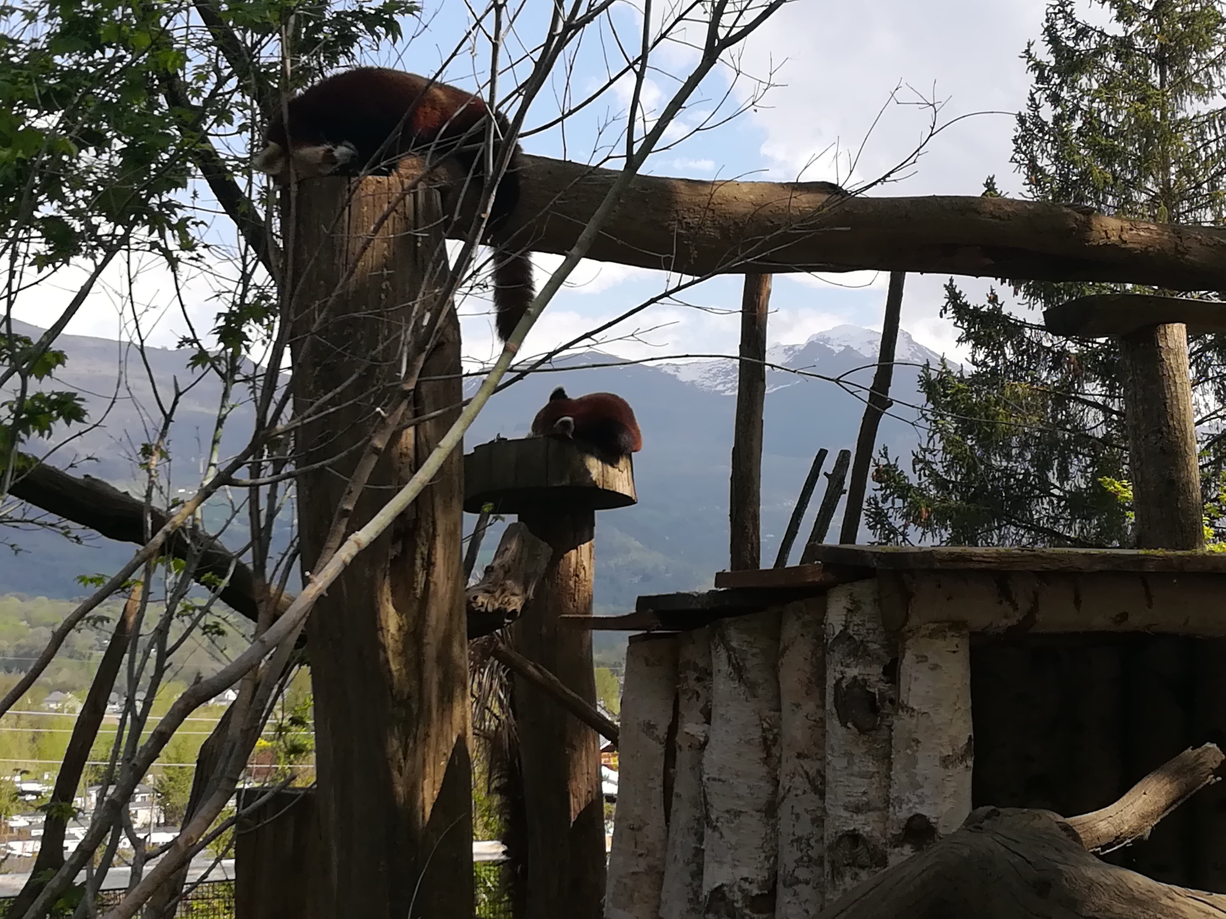 Photo n° 25 de l'avis de Sarah.L fait le 21/04/2018 à 18:44