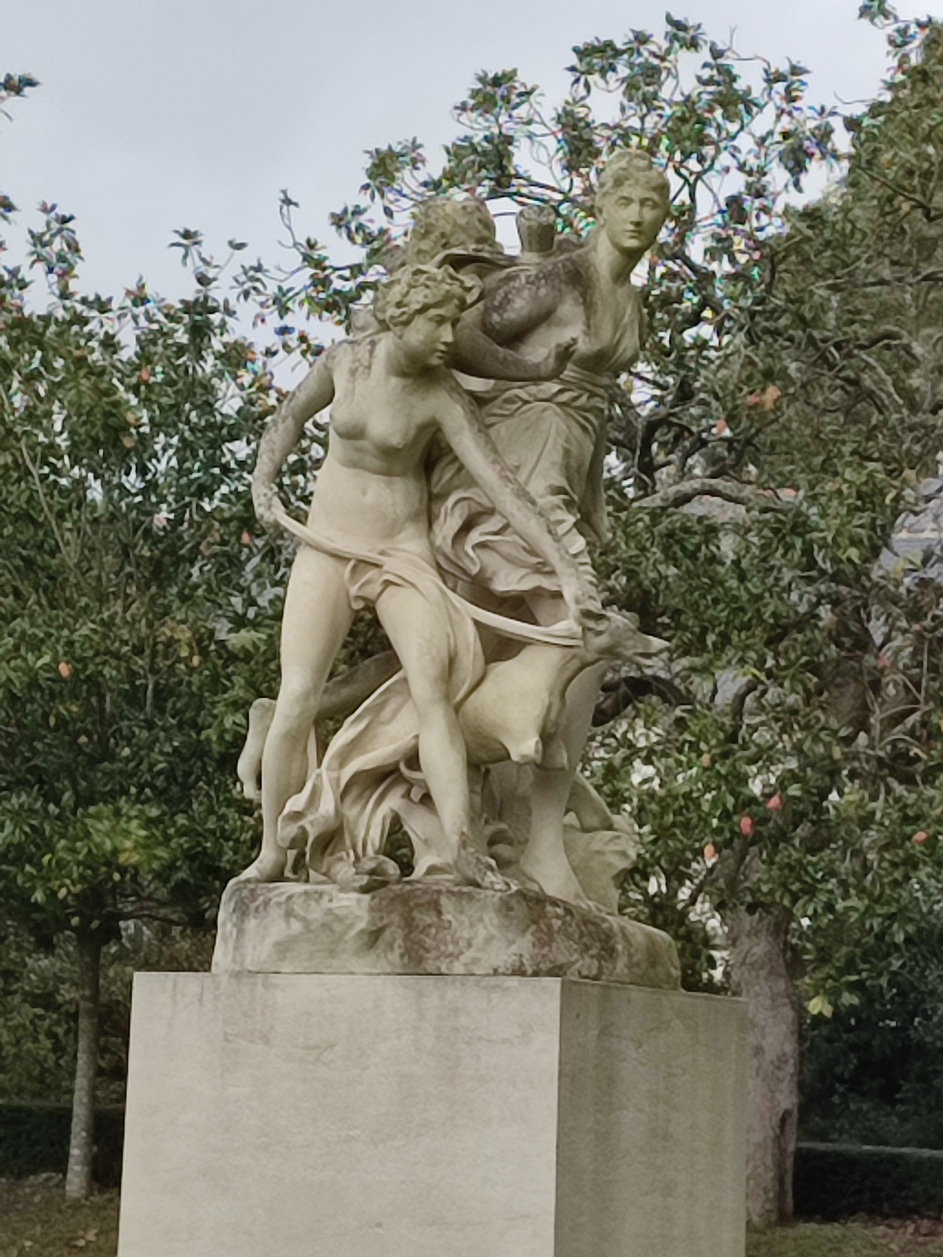Photo n° 3 de l'avis de ouzé.e fait le 10/11/2023 à 14:34