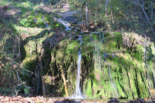 Grocery Store «Natural Bridge General Store», reviews and photos, 593 Wert Faulkner Hwy, Natural Bridge Station, VA 24579, USA
