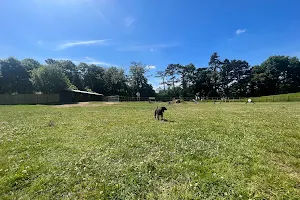 Wolvey Dog Walking Field- Burton Fields image