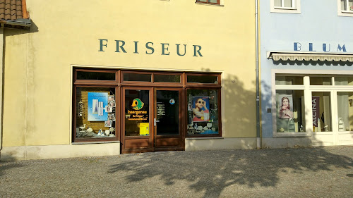 Friseur Haargenau D. Gruschka à Bernburg (Saale)