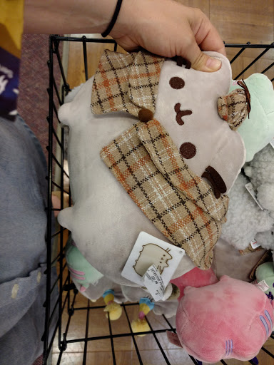 Book Store «Books-A-Million», reviews and photos, 8507 Kingston Pike, Knoxville, TN 37919, USA