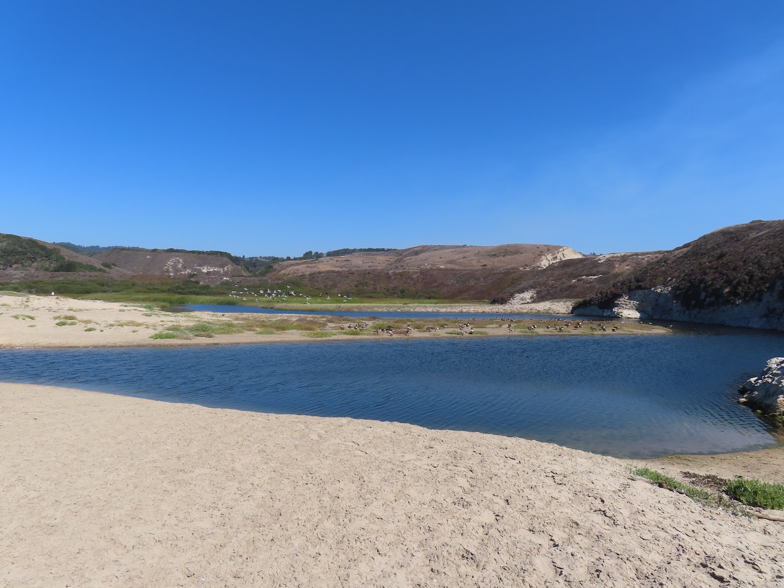 Laguna Creek Beach'in fotoğrafı çok temiz temizlik seviyesi ile