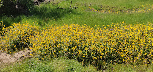 Nature Preserve «North Table Mountain Ecological Reserve», reviews and photos, 2488 Cherokee Rd, Oroville, CA 95965, USA