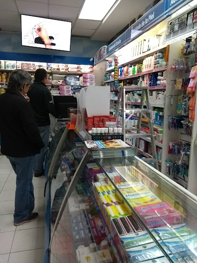 Farmacia Del Ahorro, , Heróica Puebla De Zaragoza