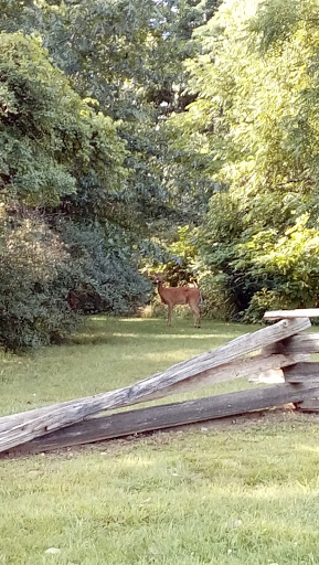Tourist Attraction «Crossroads Village & Huckleberry Railroad», reviews and photos, 6140 Bray Road, Flint, MI 48505, USA