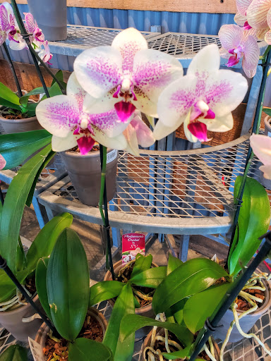 Grocery Store «Whole Foods Market», reviews and photos, 1815 E Victory Dr #101, Savannah, GA 31404, USA