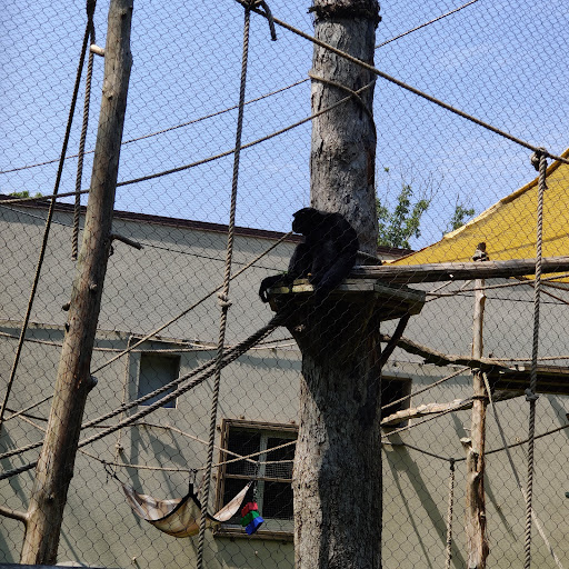 Tourist Attraction «Tree To Tree Cape May», reviews and photos, 707 U.S. 9, Cape May Court House, NJ 08210, USA