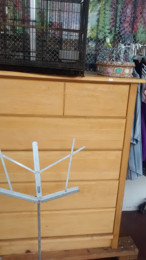 Thrift Store «L S Thrift Store», reviews and photos, 915 E 1st Ave, Mt Dora, FL 32757, USA