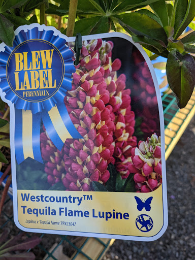 Florist «Nunan Florist & Greenhouses», reviews and photos, 269 Central St, Georgetown, MA 01833, USA