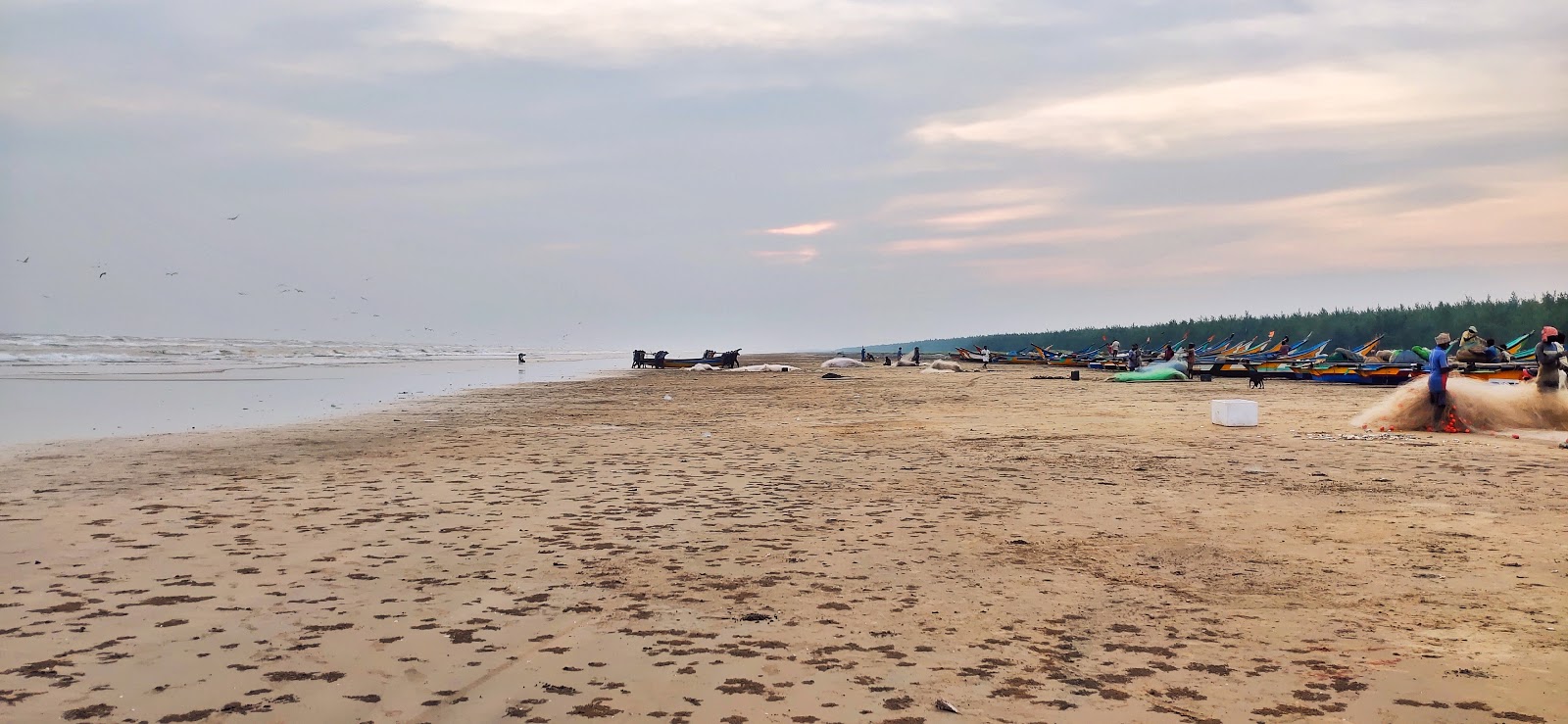 Pallam Beach的照片 带有碧绿色纯水表面