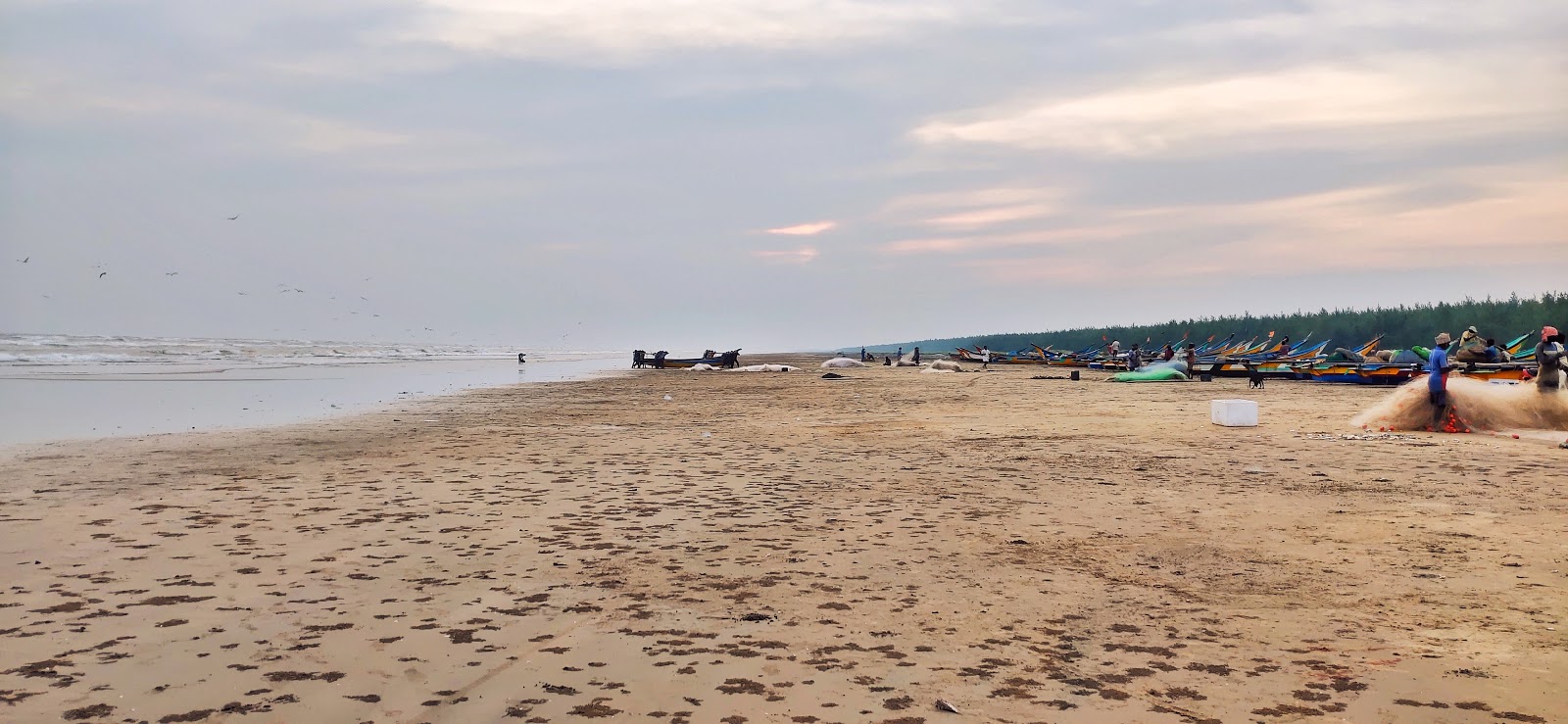 Pallam Beach的照片 带有长直海岸