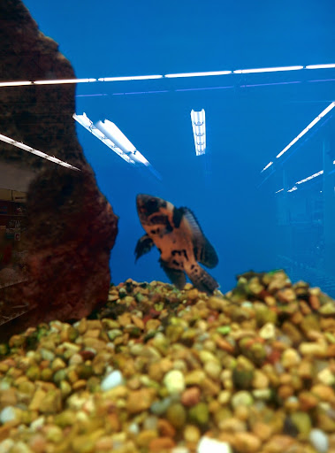 Pet Supply Store «Petco Animal Supplies», reviews and photos, 19 Shining Willow Way, La Plata, MD 20646, USA