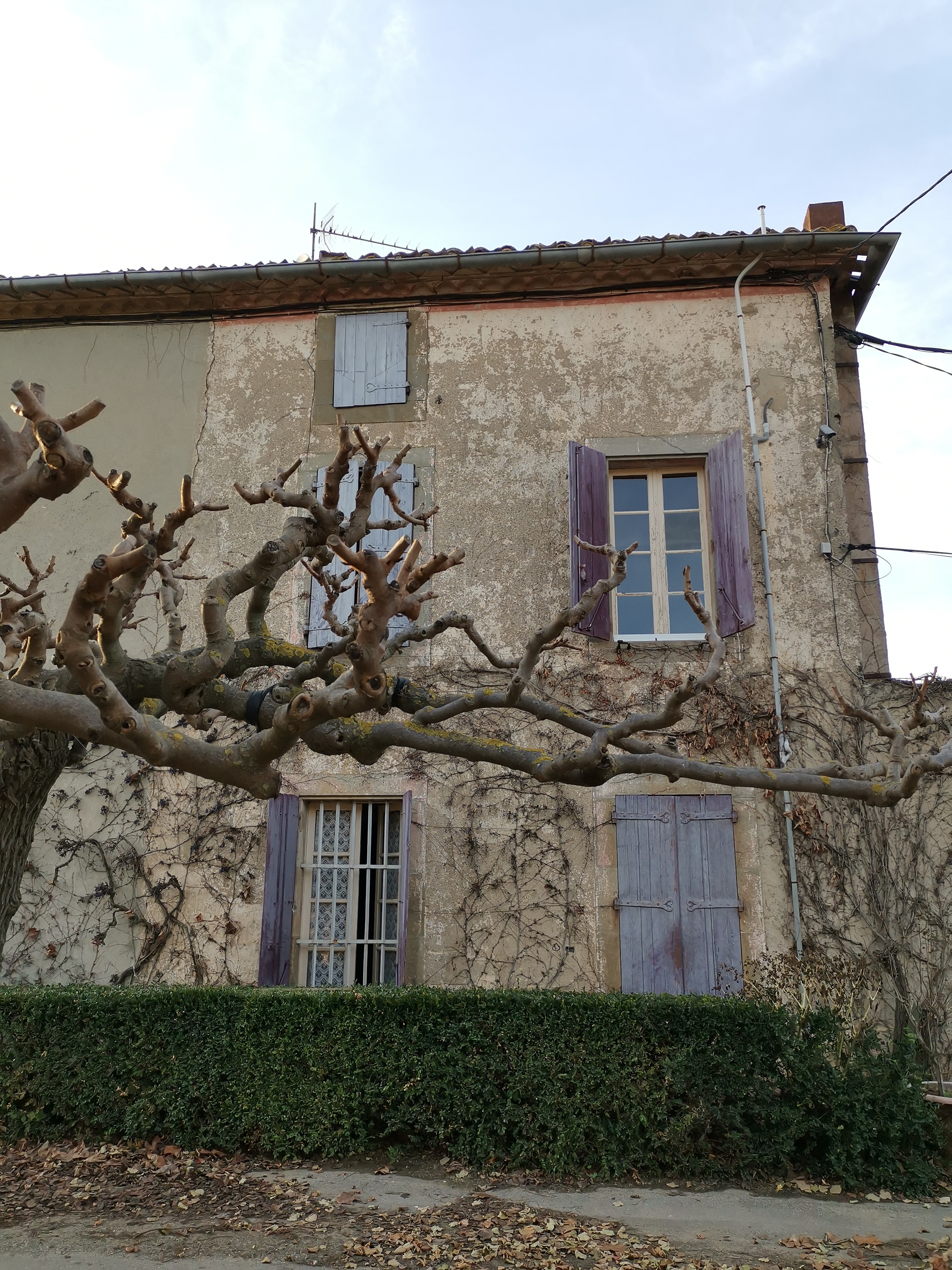 Photo n° 8 de l'avis de Tanya.o fait le 23/12/2022 à 20:15