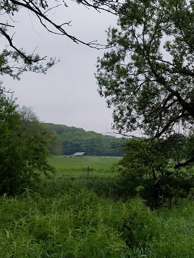 Nature Preserve «Brunner Family Forest Preserve», reviews and photos, 18N681 State Rte 31, Carpentersville, IL 60110, USA