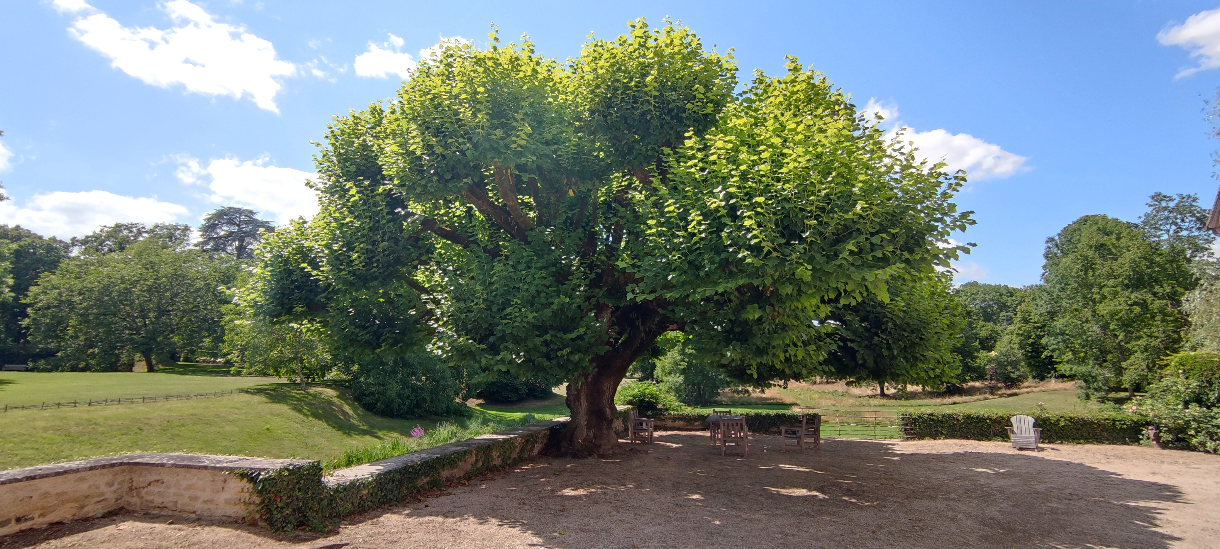 Photo n° 3 de l'avis de Bérengère.H fait le 13/07/2023 à 16:21