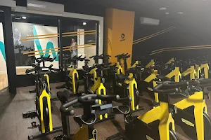 Synergym Castellón Parc Ribalta image