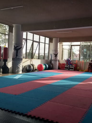 Escuela Mundo Taekwondo Mundo Ylio Do