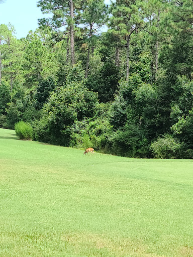 Golf Course «Grand Bear Golf Course», reviews and photos, 12040 Grand Way Blvd, Saucier, MS 39574, USA