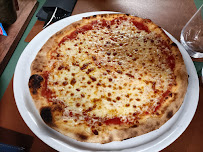 Plats et boissons du Pizzeria Pizza Mimosa à Lacrouzette - n°2
