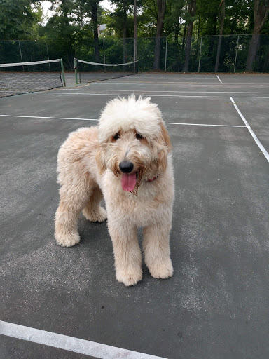 Pet Supply Store «Petco Animal Supplies», reviews and photos, 300 Quaker Ln #3, Warwick, RI 02886, USA