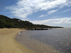 Praia da Baleia'in fotoğrafı çok temiz temizlik seviyesi ile