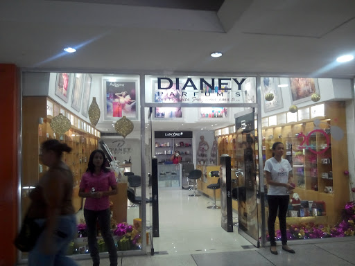 Dianey Parfum's