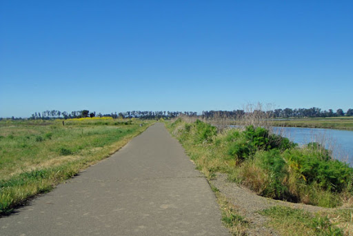 Bicycle Rental Service «Napa Valley Bike Tours & Rentals», reviews and photos, 6500 Washington St, Yountville, CA 94599, USA