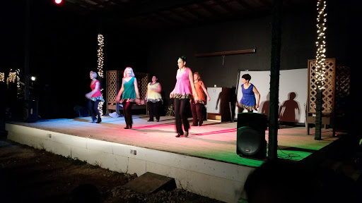 Performing Arts Theater «Emilyann Theatre», reviews and photos, 1101 Ranch Rd 2325, Wimberley, TX 78676, USA