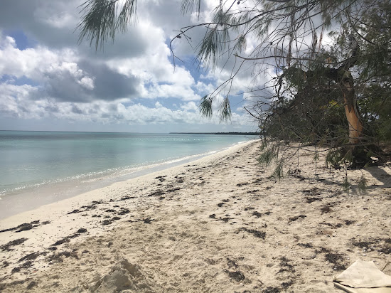 Ouvea Island Beach