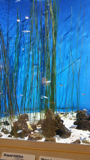 Aquarium «Newport Aquarium», reviews and photos, 1 Aquarium Way, Newport, KY 41071, USA
