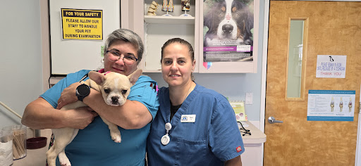 Animal Medical Clinic of Spring Hill image