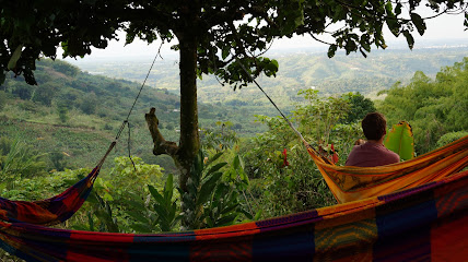 Mystic Banana Beginners Meditation Retreat Colombia