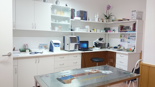 Veterinaria San Telmo en Andratx