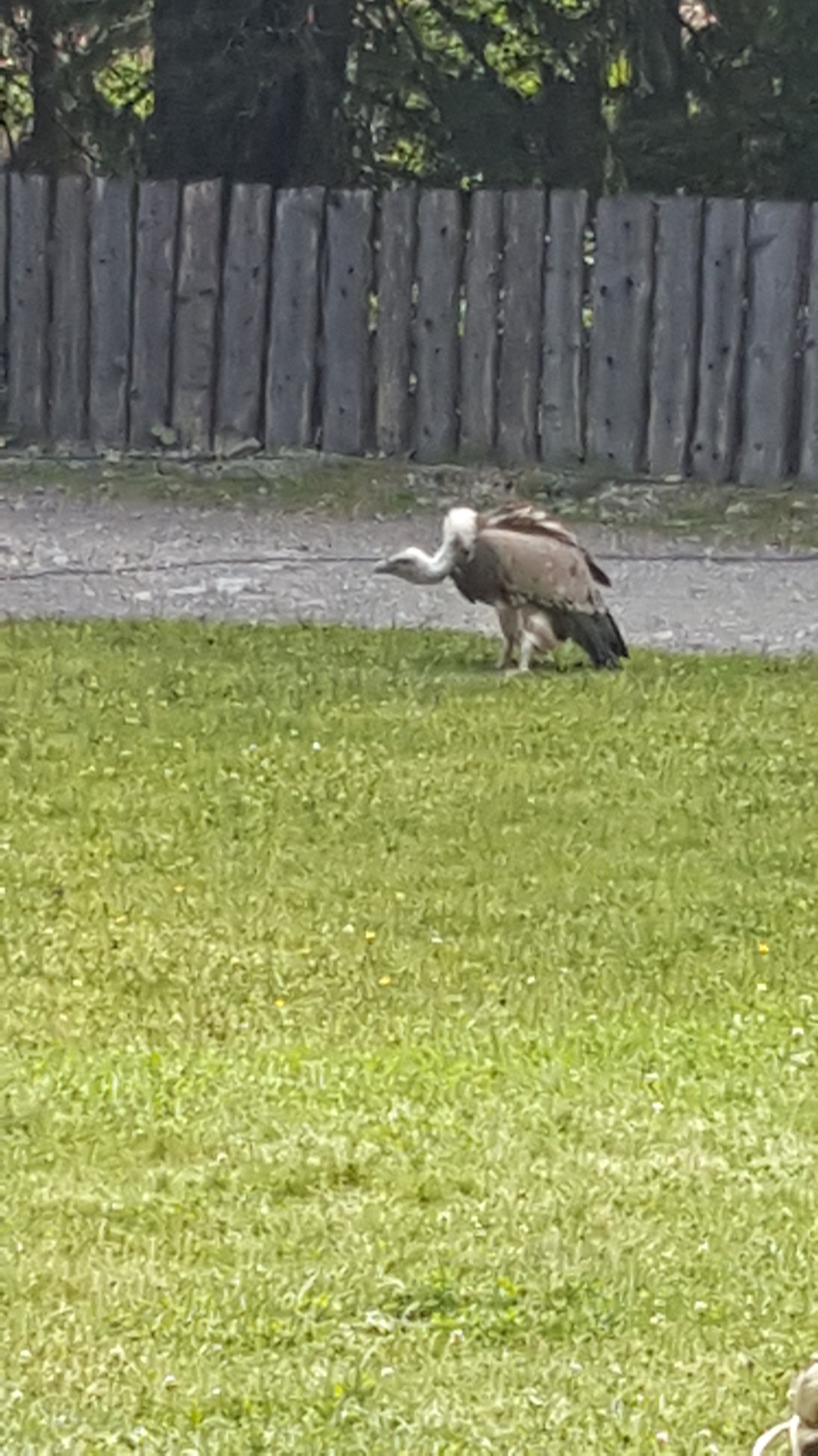 Photo n° 1 de l'avis de Fabrice.u fait le 28/07/2020 à 13:09