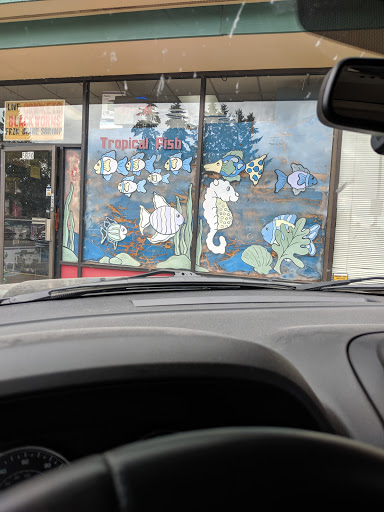 Pet Groomer «B-I-S Pet Grooming», reviews and photos, 5670 Main St, Springfield, OR 97478, USA