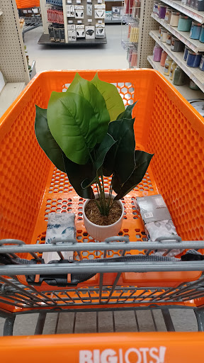 Discount Store «Big Lots», reviews and photos, 5640 Dixie Hwy, Waterford Twp, MI 48329, USA