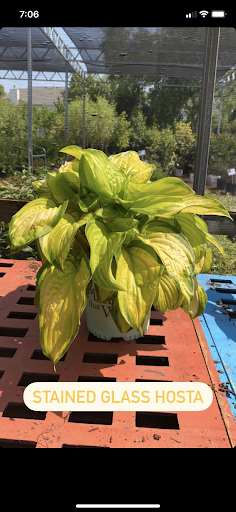 Landscaping Supply Store «Kirkwood Gardens», reviews and photos, 2701 Barrett Station Rd, Ballwin, MO 63021, USA