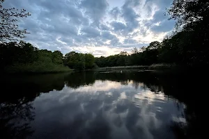 Woodhall Lake image