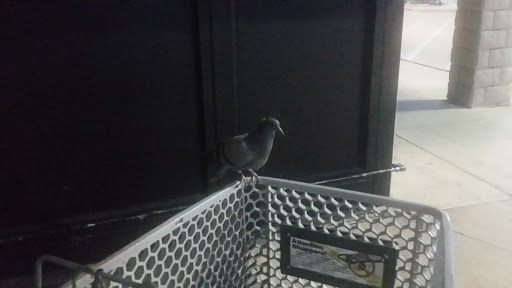 Grocery Store «Kroger», reviews and photos, 514 S Carrier Pkwy, Grand Prairie, TX 75051, USA